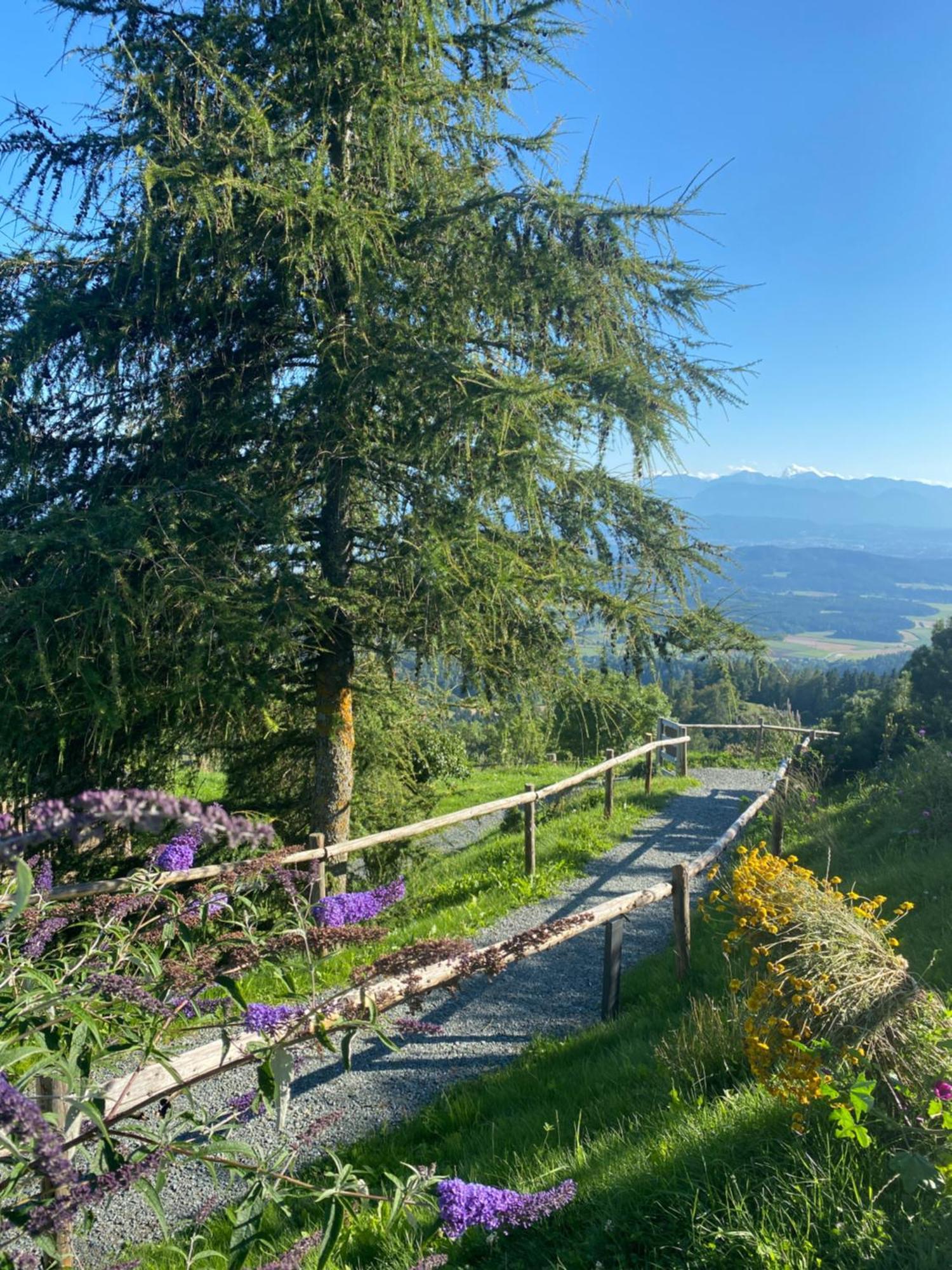 Gipfelhaus Magdalensberg Hotel Sankt Veit an der Glan Buitenkant foto